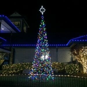 25' LED Tree of Lights
