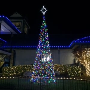 25' LED Tree of Lights
