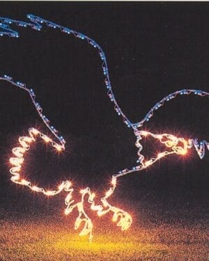 Flying Eagle Holiday Light Display