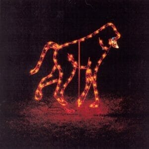 5' Monkey Holiday Light Display