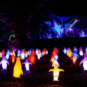 5' Penguin RGB Holiday Light Display