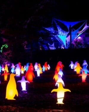 5' Penguin RGB Holiday Light Display
