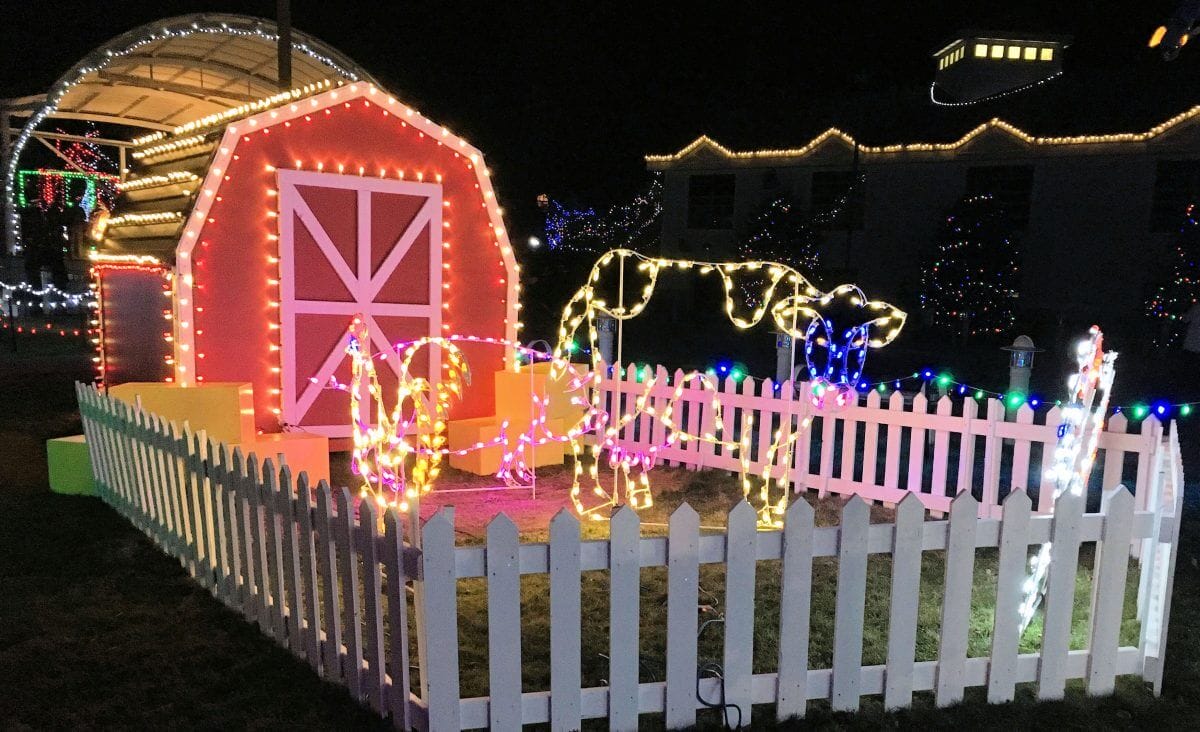 Original Lighting Display Designs for Farms | Creative Displays