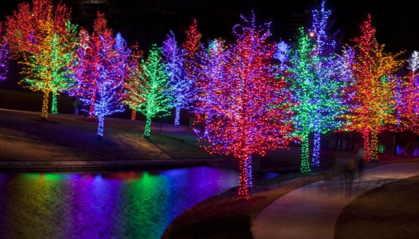 Led lights on clearance trees