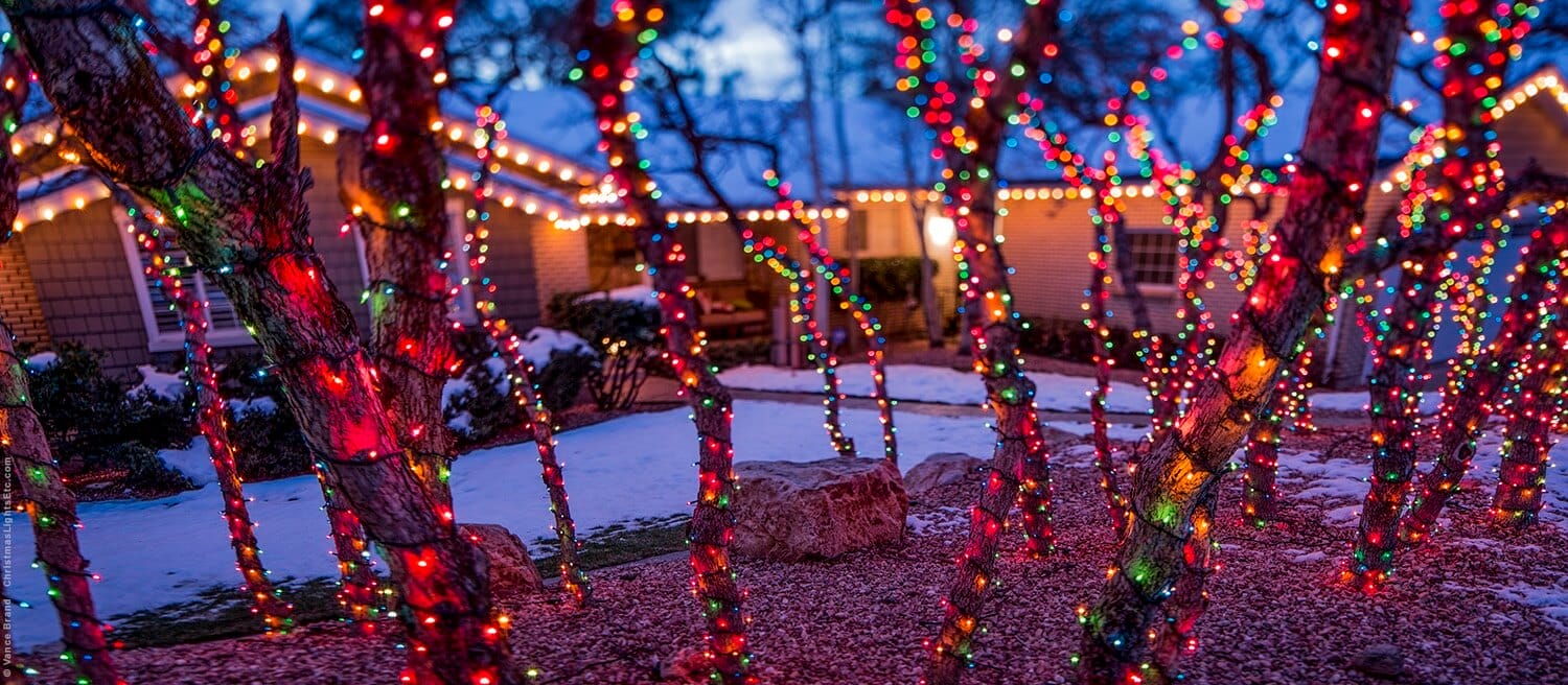 Guide To Wrapping Trees With Commercial Holiday Lights