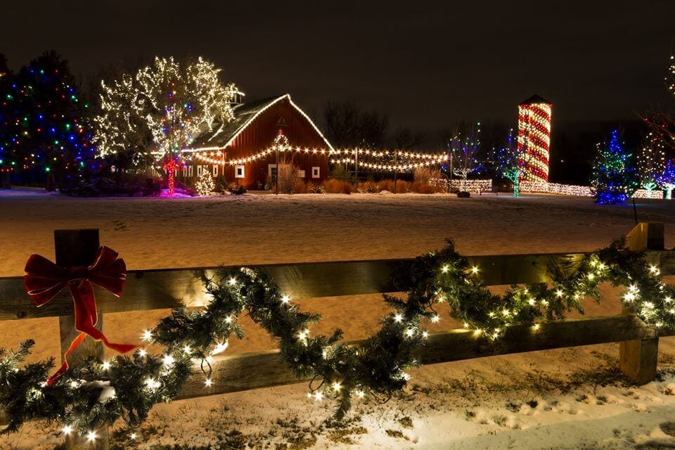 Farm Holiday Lights