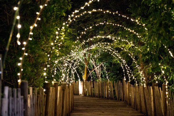 Event Lighting