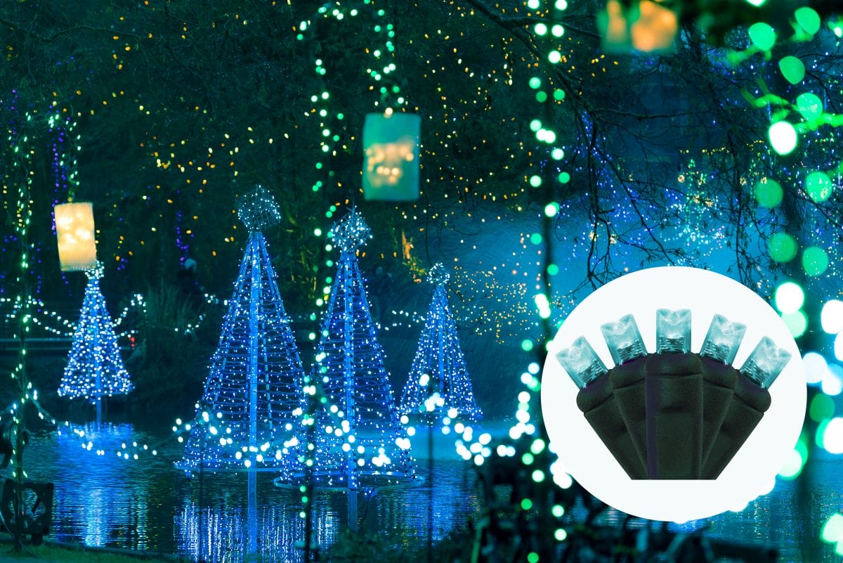 Teal Mini Lights