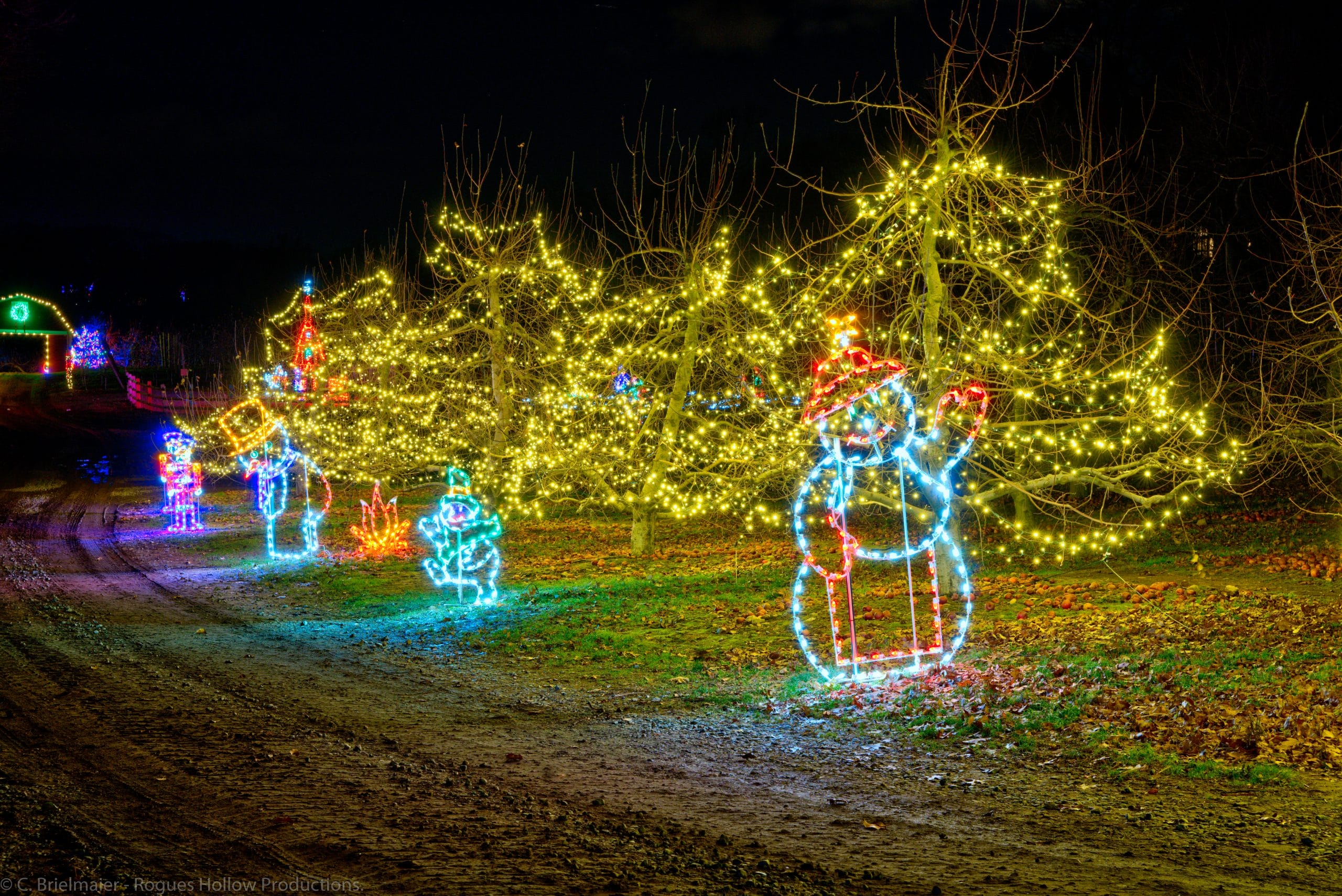 How Do You Hang Christmas Lights Outside Without Nails? Creative Displays