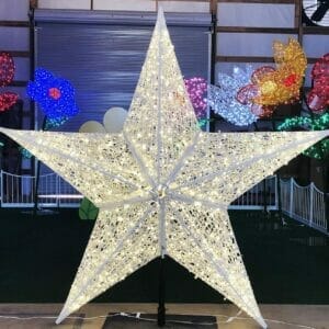 13.75' Hollow Star Dimensional Display