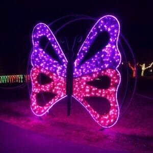 PVC Mesh Butterfly