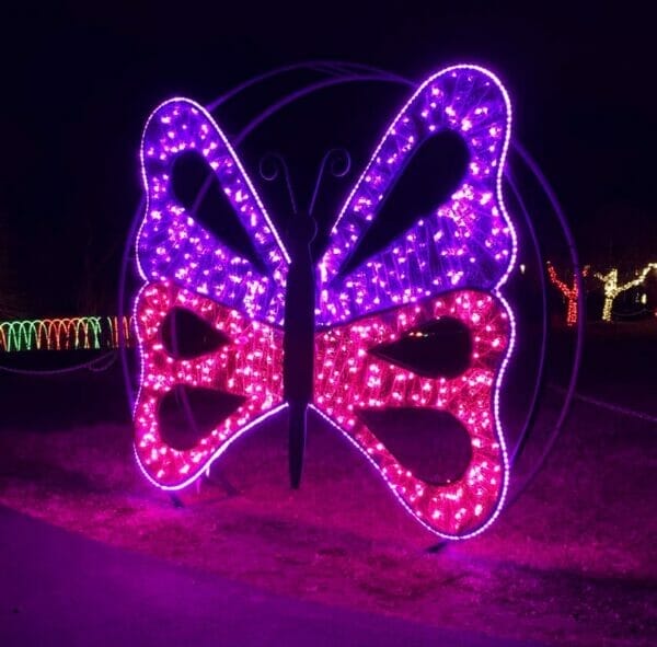 PVC Mesh Butterfly