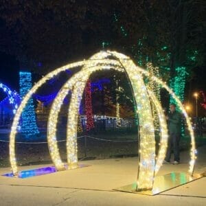 9' Shimmering Walk Through 3 Ring Arch