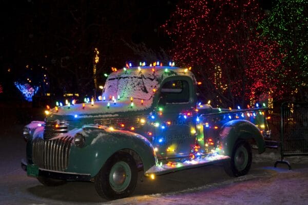 Festive Lights Outdoor  It's all about Christmas