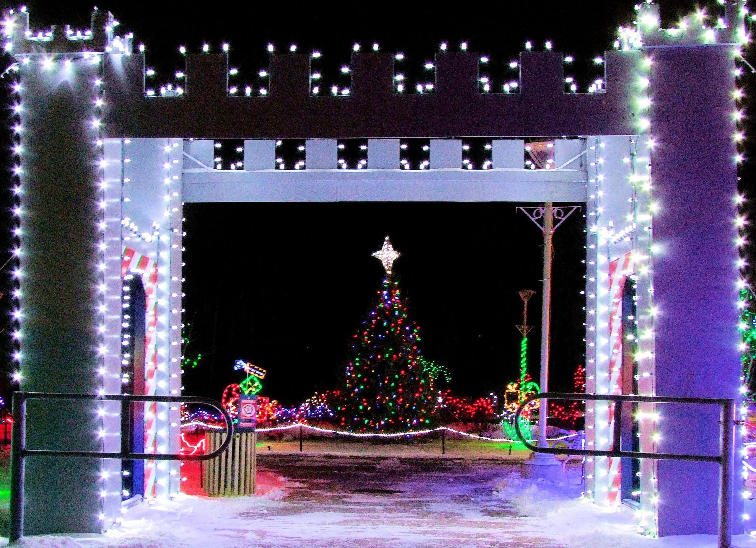 How to Choose the Right Festive Lights for My Business