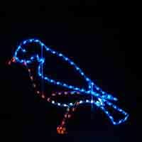 6.5' Bird Holiday Light Display
