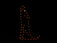 4' Coyote Sitting Holiday Light Display