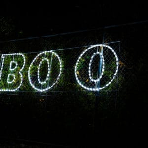 3' Boo Sign Halloween Light Display