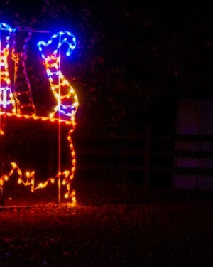 8' Animated Witch Cauldron Halloween Light Display