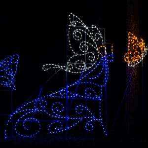 Butterfly Princess Holiday Light Display