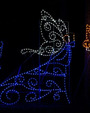 Butterfly Princess Holiday Light Display