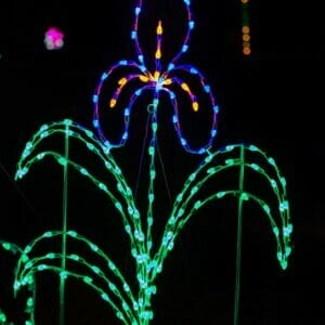6' Iris Holiday Light Display
