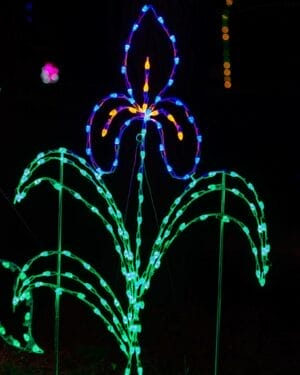 6' Iris Holiday Light Display