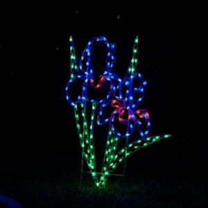 6' Iris Cluster Holiday Light Display