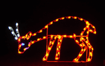 4' Kuda Fawn Holiday Light Display