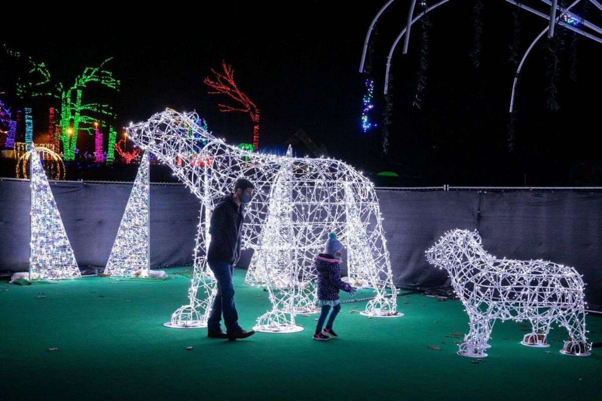 3D POLAR BEARS