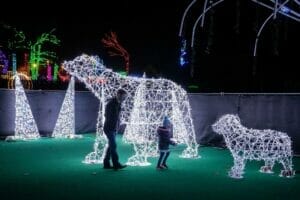 3D POLAR BEARS