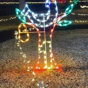 8' Twelve Days of Christmas - Day 1 Holiday Light Display