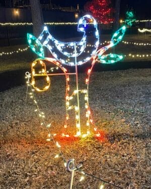 8' Twelve Days of Christmas - Day 1 Holiday Light Display