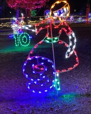 Creative Displays 12 Days of Christmas Day 9 Holiday Light Display