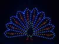 5' Peacock Holiday Light Display
