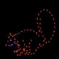 4' Squirrel Holiday Light Display