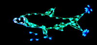 4' Trout Holiday Light Display