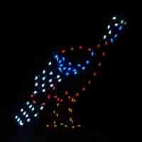 4' Wild Turkey Holiday Light Display