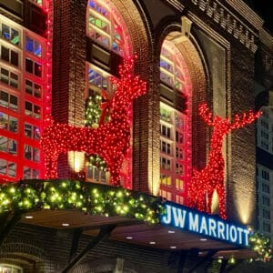 CREATIVE DISPLAYS 10 FOOT RED GRAPEVINE DEER DIMENSIONAL LIGHT DISPLAY