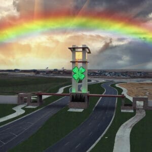 SHAMROCK CUSTOM FABRICATED LIGHT DISPLAY