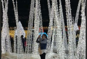 Creative Displays Ice Shards Dimensional Holiday Light Display