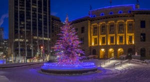 Creative Displays Commercial Christmas Trees