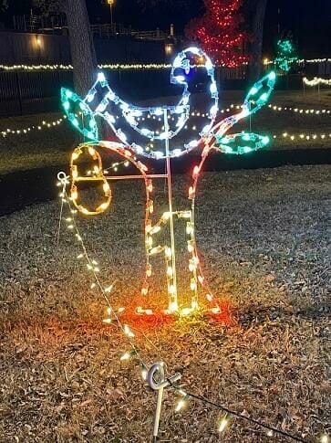 Christmas light  Displays