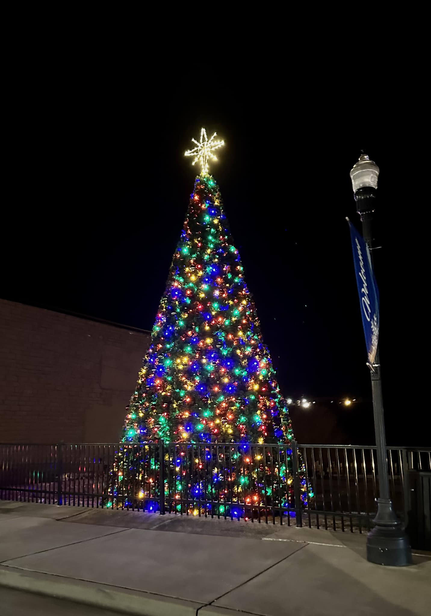 Commercial Giant Panel Trees