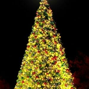 Creative Displays 34 Foot Christmas Panel Tree
