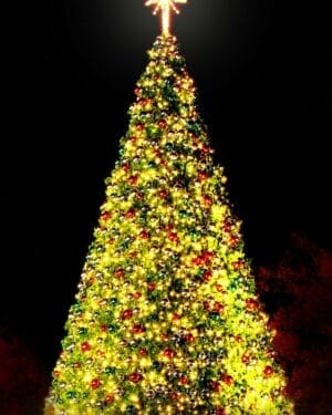 Creative Displays 34 Foot Christmas Panel Tree
