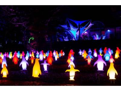 Creative Displays Custom Penguin Light Display