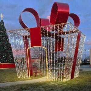 17' Walkthrough Package With Film Bow Holiday Light Display