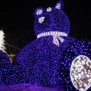 16' 3D Teddy Bear Holiday Lighting Display