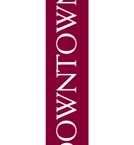 Downtown Side Car Street Banner